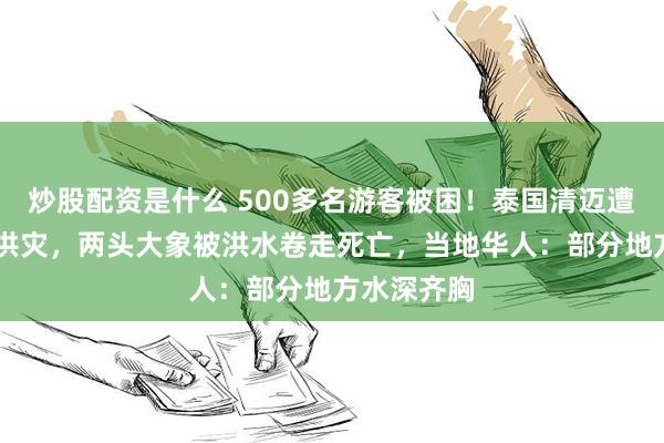 炒股配资是什么 500多名游客被困！泰国清迈遭50年最大洪灾，两头大象被洪水卷走死亡，当地华人：部分地方水深齐胸