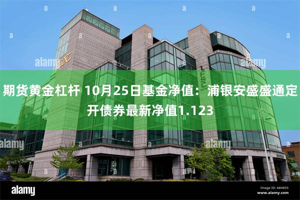 期货黄金杠杆 10月25日基金净值：浦银安盛盛通定开债券最新净值1.123