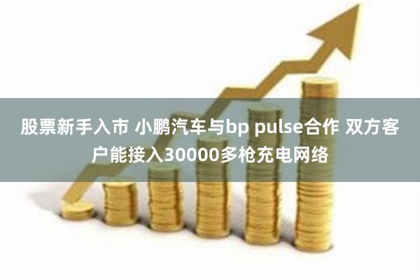 股票新手入市 小鹏汽车与bp pulse合作 双方客户能接入30000多枪充电网络