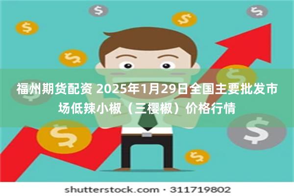 福州期货配资 2025年1月29日全国主要批发市场低辣小椒（三樱椒）价格行情