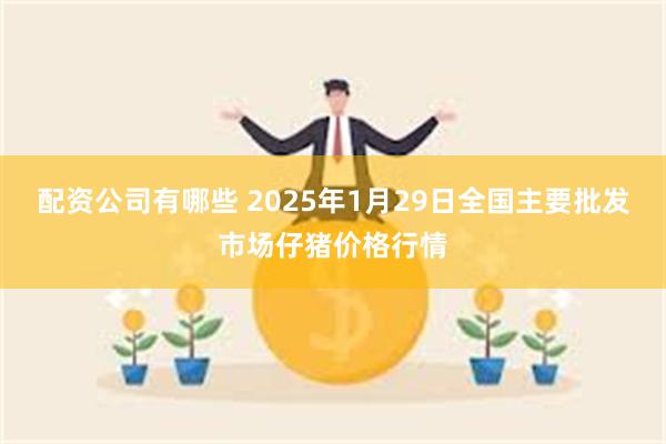 配资公司有哪些 2025年1月29日全国主要批发市场仔猪价格行情